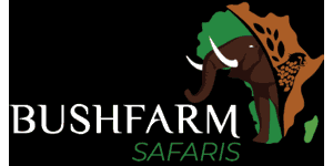 Bushfarm Safaris  Logo