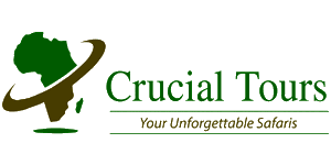 Crucial Tours