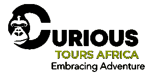 Curious Tours Africa Logo