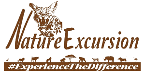 Nature Excursion  Logo