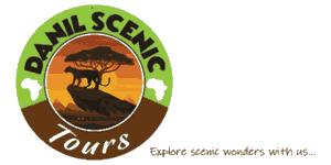 Danil Scenic Tours  Logo