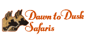 Dawn To Dusk Safaris Logo