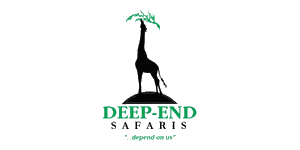 Deep End Tours and Safaris Logo