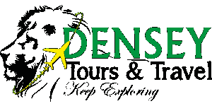Densey Tours and Travel Logo