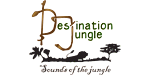 Destination Jungle Safaris Logo