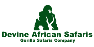 Devine African Safaris Logo