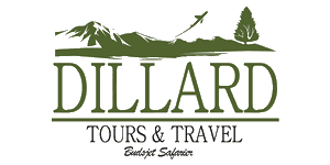 Dillard Tours And Travel Limited