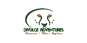 Divulge Adventures Logo