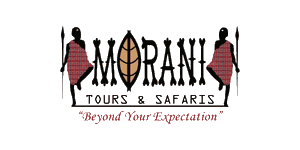 Morani Tours and Safaris Logo