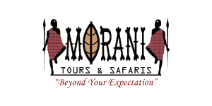 Morani Tours and Safaris