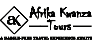 Afrika Kwanza Tours  Logo