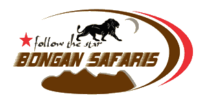Bongan Safaris logo