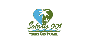 Safaris Zeroone Ventures  Logo