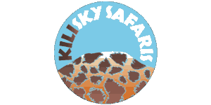 Kilimanjaro Sky Logo