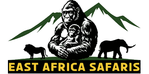 East Africa Safari Tours
