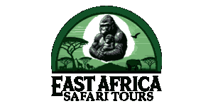 East Africa Safari Tours East Africa Safari Tours