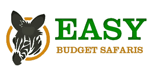 Easy Budget Safaris 