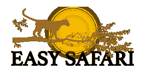 Easy Tour Safari Logo