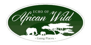 Echo of African Wild