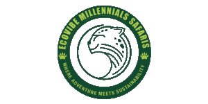  Ecovibe Millennials Safaris Logo