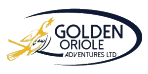 Golden Oriole Adventures  Logo