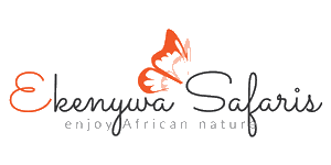 Ekenywa Safaris