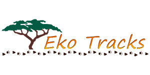 Eko Tracks
