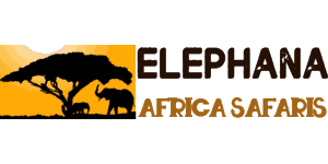 Elephana Africa Safaris