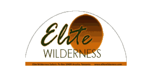 Elite Wilderness Safaris