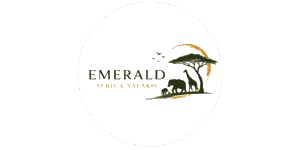 Emerald of Africa Safaris  Logo