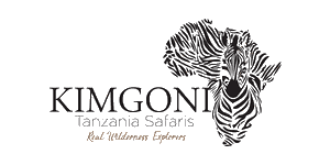 Kimgoni Tanzania Safaris  logo