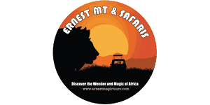 Ernest Magic Tours and Safaris Logo