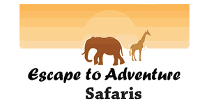 Escape to Adventure Safaris Logo