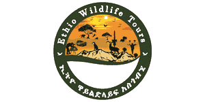 Ethio Wildlife Tours Ethio Wildlife Tours
