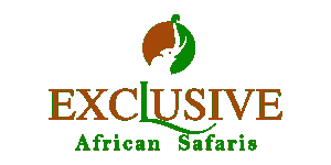 Exclusive African Safaris