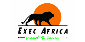 Exec Africa Travel and Tours Logo