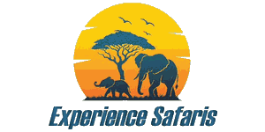 Experience Safaris Logo