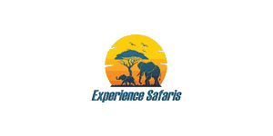 Experience Safaris Logo