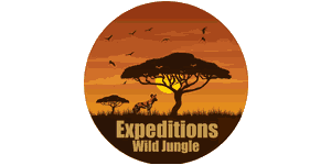 Expeditions Wild Jungle Logo