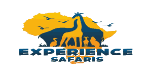 Experience Safaris Logo