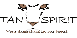 Tan Spirit Safari  Logo