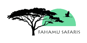 Fahamu Safaris