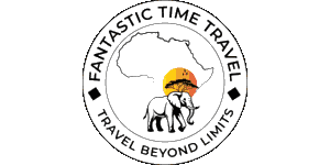 Fantastic Time Travel Logo