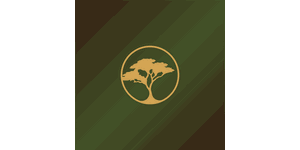Aedena Rovers Logo