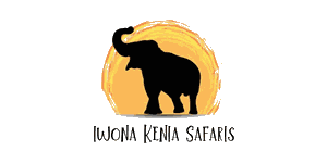 Iwona Kenia Safaris Logo