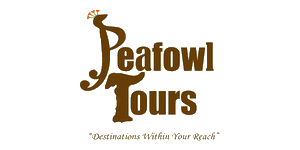 Peafowl Tours Logo