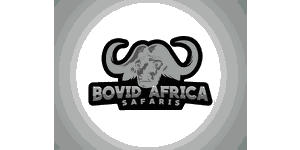 Bovid Africa Safaris