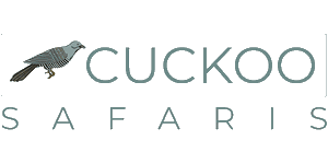 Cuckoo Safaris