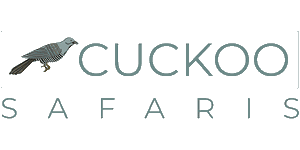 Cuckoo Safaris Cuckoo Safaris