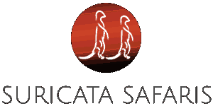 Suricata Safaris Logo